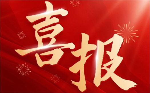 集团荣膺2025中国民营企业500强第249位，制造业民营企业500强第177位，排名较去年双双大幅提升