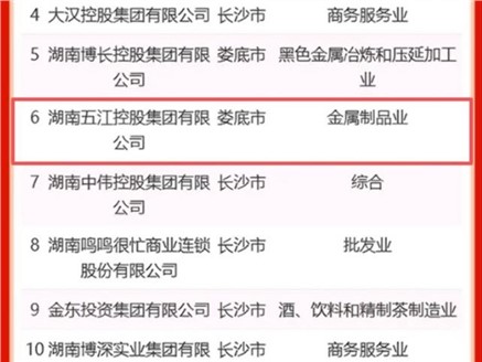 集团荣获2025“三湘民企百强榜”第6名